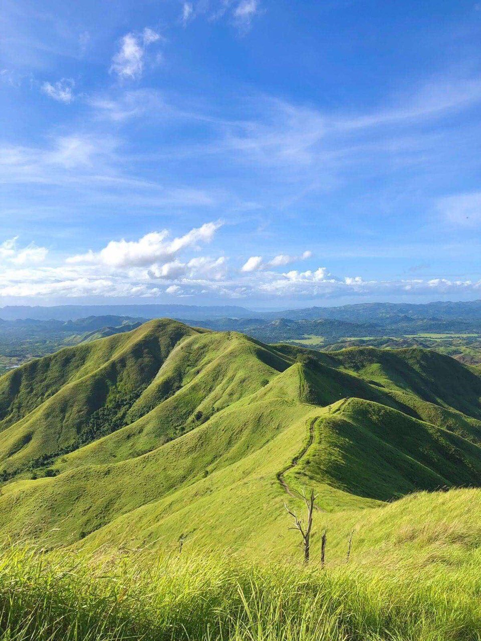 other image